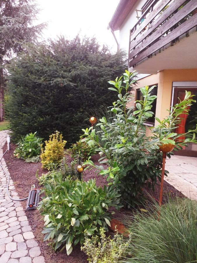 Ferienwohnung Im Rottal Oberrot Exterior photo